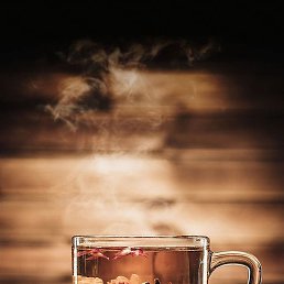 ���, ������, 48 ���