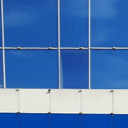 ���������, ����, 55 ���