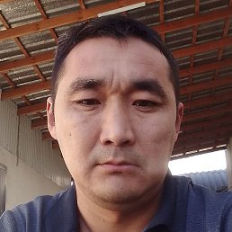 �����, ������, 39 ���