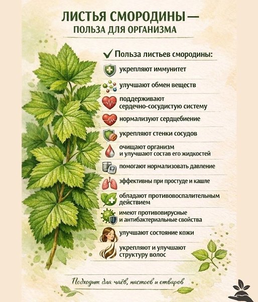 ������ ��������� � ��, � ר� ���� ��� �����. ��� �� ������ ������ ��� ���. ��� ����pa����� ��������� ... - 3
