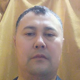 ����, ������, 46 ���