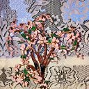 ���� Alena, �������, 56 ��� - ��������� 3 ����� 2025 � ������ ���� ��������� ����