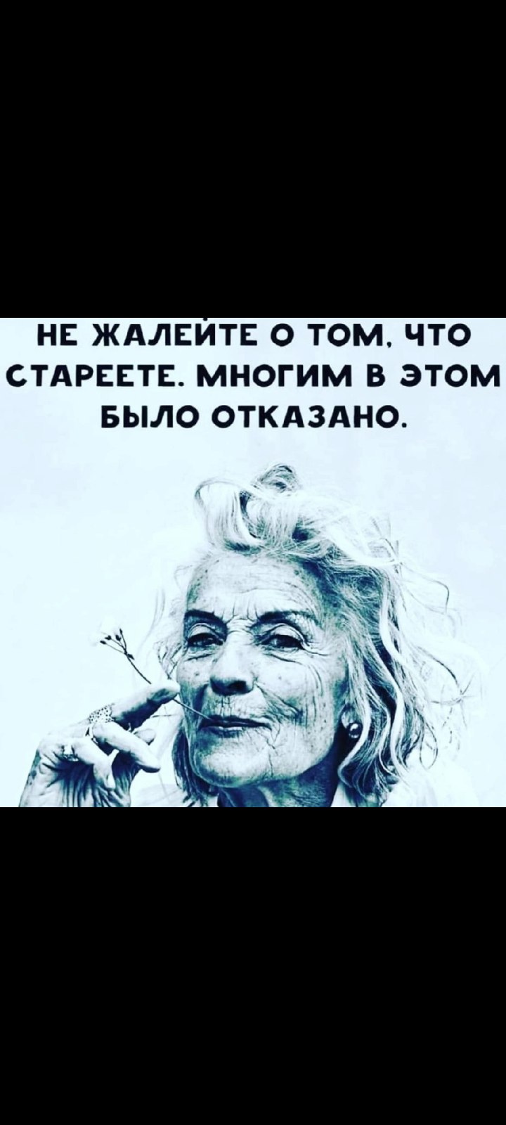 Андрей - 19 ноября 2024 в 19:49