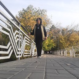 ������, ������, 51 ���