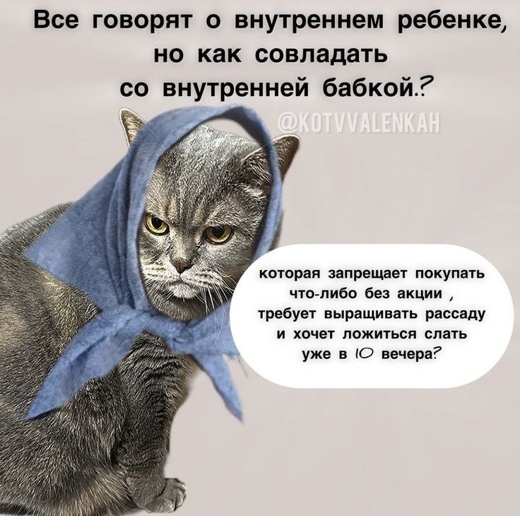 ��� ���� - 12 ����� 2026 � 12:52