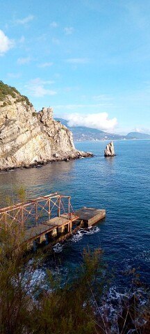 ���� Mkg, ������, 31 ��� - ��������� 12 ������ 2024