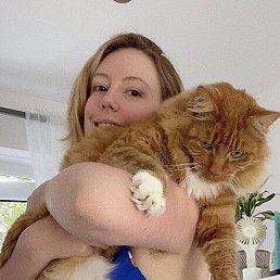 ���� ����, ���������, 30 ��� - ��������� 11 ������ 2026