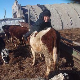 ������� �����, ������, 36 ���