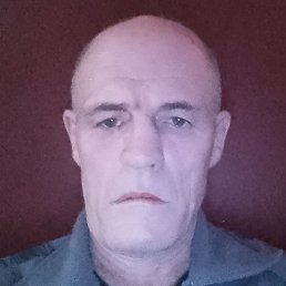 ������, ������������, 55 ���