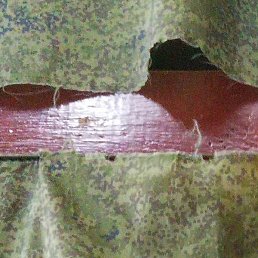 ������, ����, 49 ���