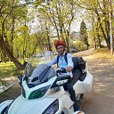 ���� ����, ������, 40 ��� - ��������� 8 ���� 2026 � ������ ���� ����������