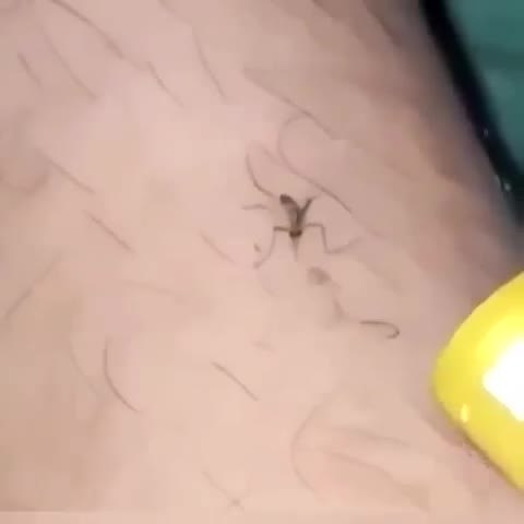 ����� ��� ������ ���� ������� ���������� ������� - 2