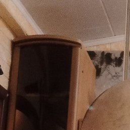 ����, ����, 45 ���