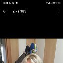 ���� �����, ���������, 41 ��� - ��������� 23 ������ 2024 � ������ ���� ����������