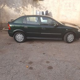 �����, �����-���������, 40 ���