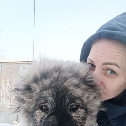, 40, 