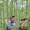 ���� ������, �����-��������� - ��������� 31 ������� 2025 � ������ ���� ����������