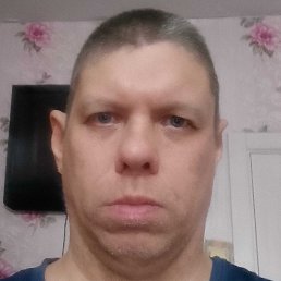 ������, �����, 40 ���