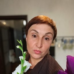 ���� �������, ������������, 52 ���� - ��������� 5 ������� 2026