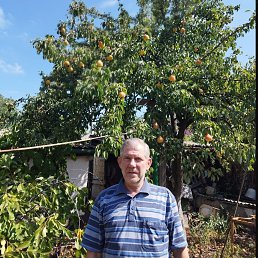 ���� ������, ������� - ��������� 19 ����� 2026