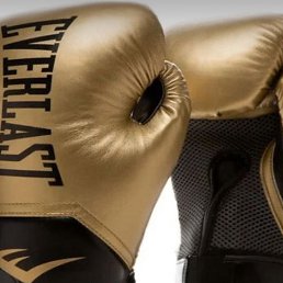 ���� ������, ���������, 40 ��� - ��������� 17 ������� 2026