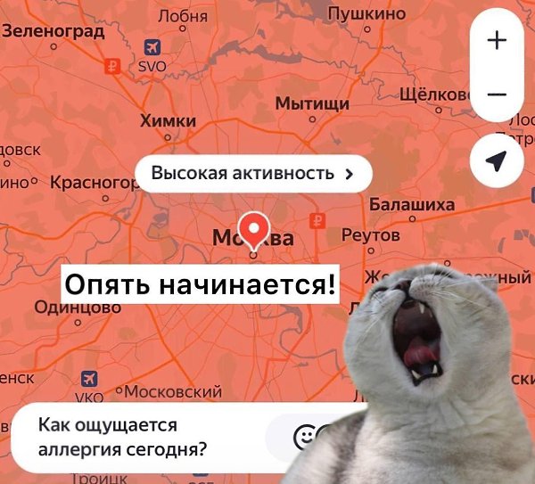 � ����� � ��������� � ������ � ����������� ����� ������ ����������� ������ �������� �����������. ��� ...