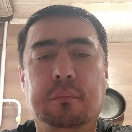 �����, ������, 41 ���