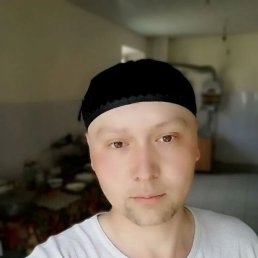 , 33, 