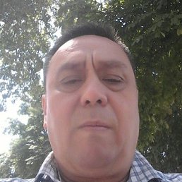 ������, �����, 61 ���