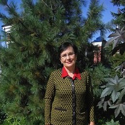 ����, ���������