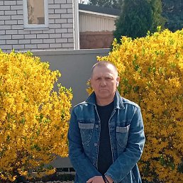 , 54 , 