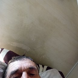 , 53,  