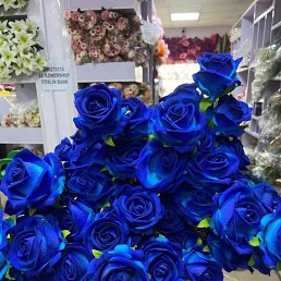 ���� Sharon, ���������, 39 ��� - ��������� 18 ������� 2023