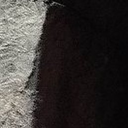 ������, �������, 37 ���