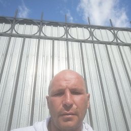 , 41 , 