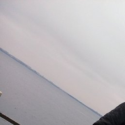 ����, �����, 40 ���