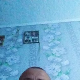 ���� �������, ���������, 49 ��� - ��������� 25 ������ 2024