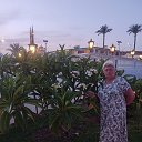 ���� �����, ������, 55 ��� - ��������� 15 ������ 2026