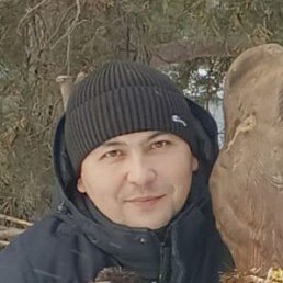 , 41, 