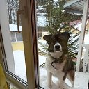 ���� ������, ������ - ��������� 17 ������ 2025 � ������ ������ ��������