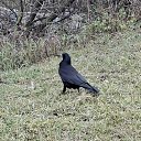���� ����, �������-��������� - ��������� 29 ����� 2026 � ������ ������ ��������