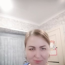 ����, 41 ���, ���������