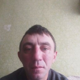 , 40, 