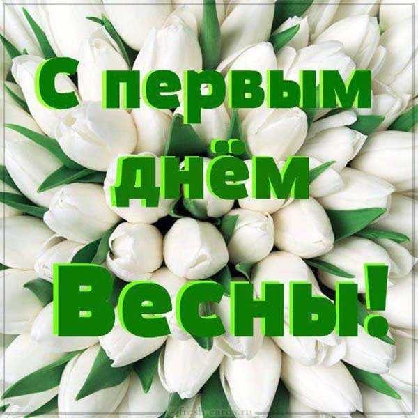  - 1  2025  13:51