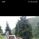 ���� �������, �����������, 33 ���� - ��������� 1 ������ 2024 � ������ ���� ����������