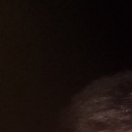 �������, ��������, 54 ����