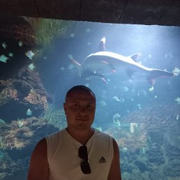 Petya, 36 ���, ������