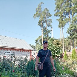 ������, 59 ���, ���������� �����