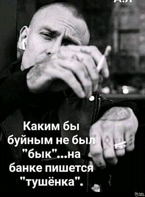   ! - 20  2025  15:49