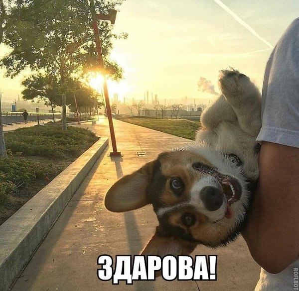 ��� ���� - 2 ���� 2026 � 12:06